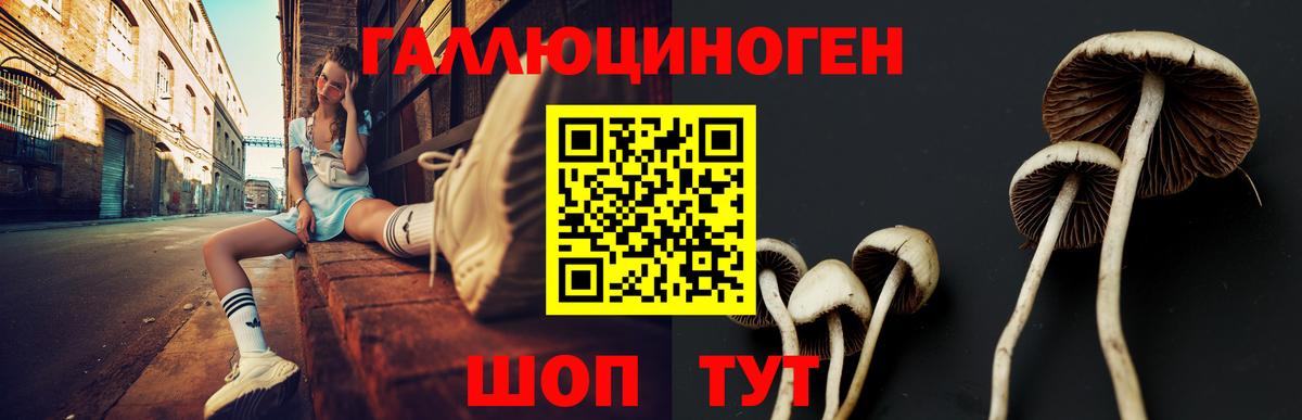 Уссурийск  Псилоцибиновые грибы ЛСД  Вход с VPN  Псилоцибиновые грибы мицелий 